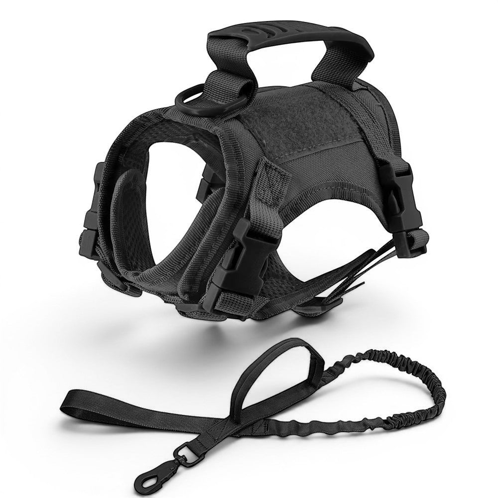 Harnais pour chat Esprit Chat en nylon noir avec poignée intégrée et laisse, réglable et rembourré.