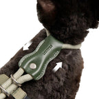 Harnais en H Esprit Chat olive en corde tressée et cuir PVC avec ajustement coulissant sur le dos pour chat