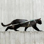Harnais en H Esprit Chat olive avec laisse pour chat noir marchant sur un muret en béton