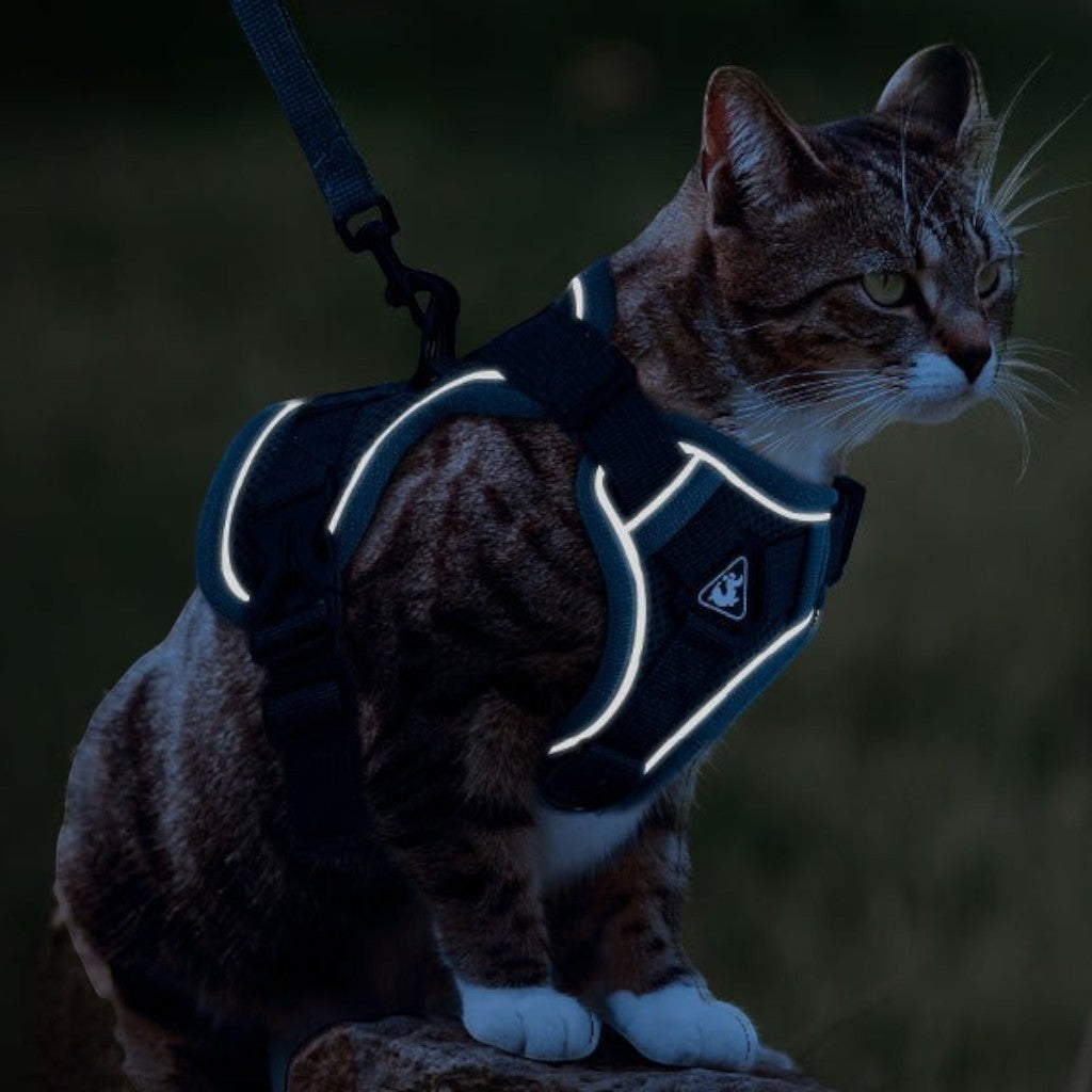 Harnais réfléchissant Esprit Chat en maille respirante noire pour chat, idéal pour les promenades nocturnes en sécurité