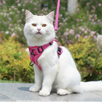Harnais chat anti-fugue rose en polyester, avec laisse assortie, par Esprit Chat