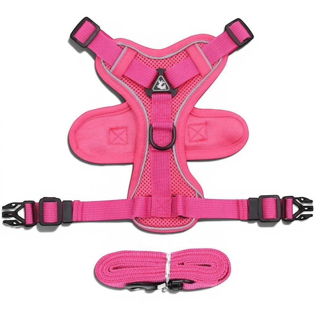 Harnais Esprit Chat rose réfléchissant en maille respirante avec laisse assortie pour chat et chaton