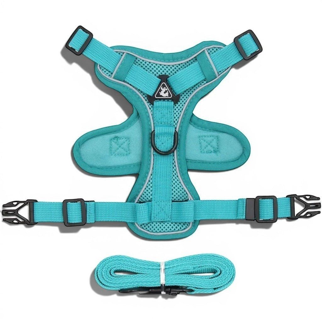 Harnais Esprit Chat turquoise réfléchissant en maille respirante avec laisse assortie pour chat