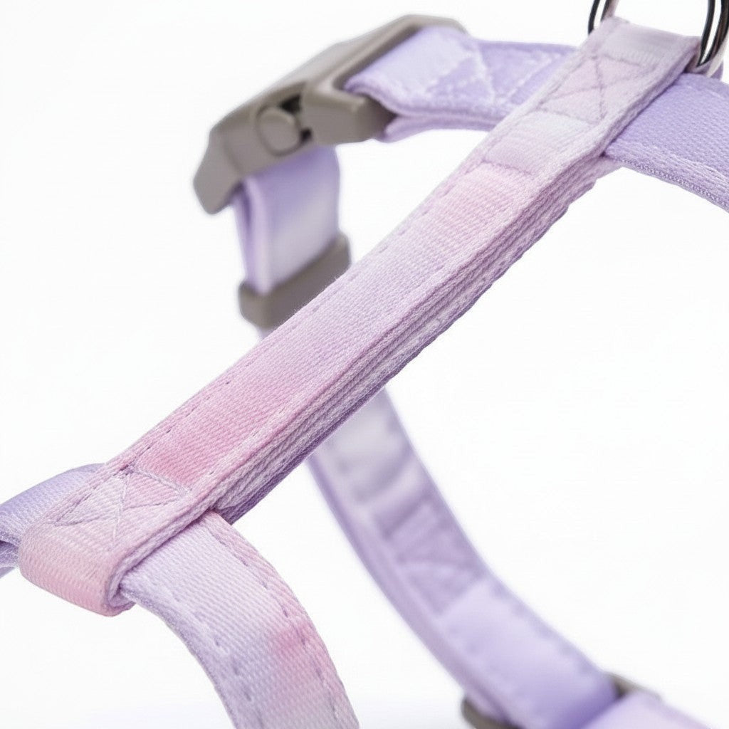 Harnais pour chat Esprit Chat violet avec boucle de sécurité et sangle en tissu résistant