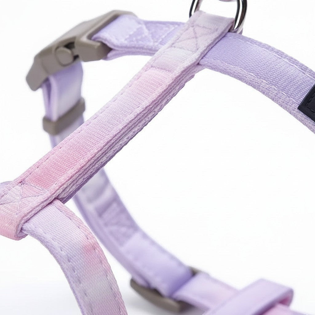 Harnais pour chat Esprit Chat violet avec motif dégradé et boucle de sécurité robuste