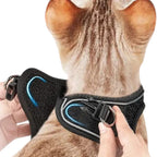 Harnais Esprit Chat pour chaton en maille noire rembourrée avec bandes réfléchissantes et fermeture rapide