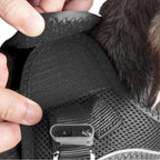Guide d'utilisation du harnais Esprit Chat en maille noire rembourrée avec fermeture rapide et bandes réfléchissantes