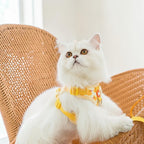 Harnais pour chien Esprit Chat jaune avec motif canard, en nylon, avec laisse assortie.