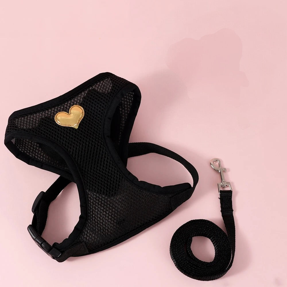 Harnais gilet noir en maille respirante pour chat avec un motif cœur doré, marque Esprit Chat, incluant une laisse.