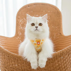 Harnais pour chat Esprit Chat jaune avec motif canard, en nylon, avec laisse assortie.