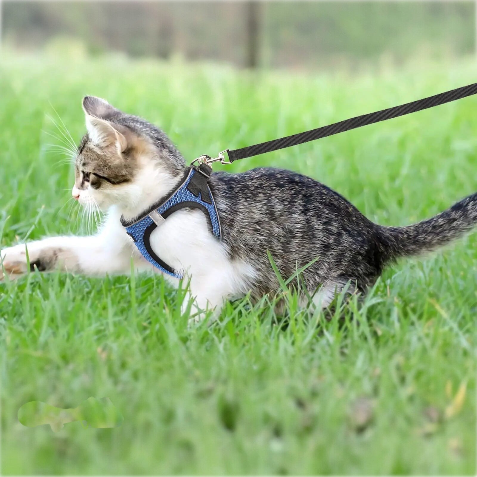 Harnais Esprit Chat en maille bleue rembourrée avec laisse pour chaton, design réfléchissant et fermeture rapide