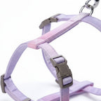 Harnais Esprit Chat violet pour chat avec boucles de sécurité et anneau en métal pour laisse