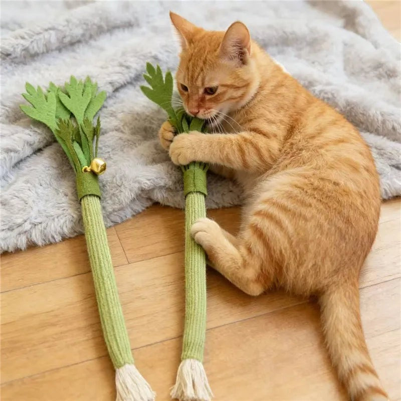 Chat roux jouant avec un jouet à mâcher en feutrine verte en forme de poireau Esprit Chat sur une couverture douce