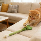 Chat roux jouant avec un jouet à mâcher en feutrine verte en forme de céleri avec grelot chez Esprit Chat