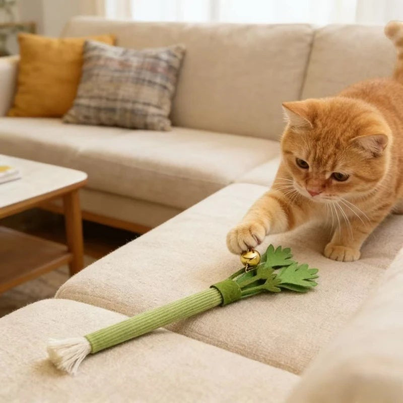 Chat roux jouant avec un jouet à mâcher en feutrine verte en forme de céleri avec grelot chez Esprit Chat