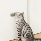 Chat gris tacheté léchant un jouet mural Esprit Chat rotatif à l'herbe à chat pour l'hygiène dentaire