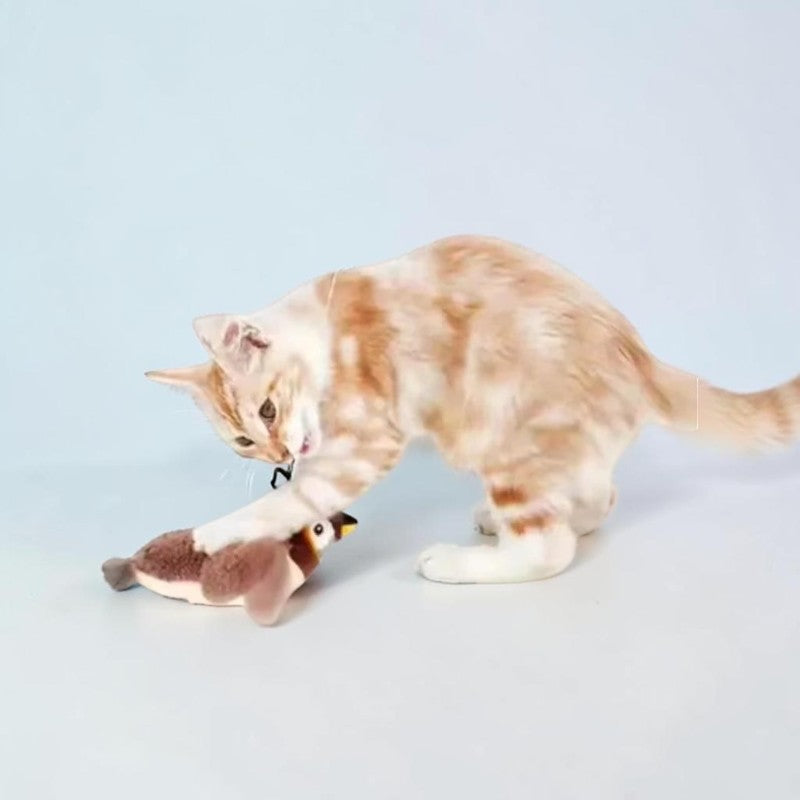 Chaton roux jouant avec un oiseau en peluche interactif Esprit Chat sur fond clair