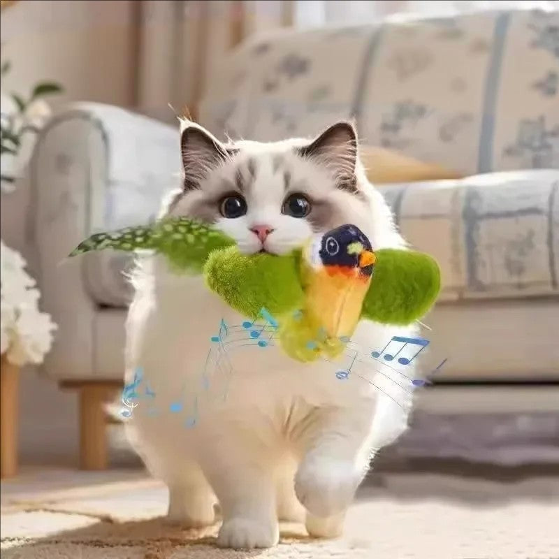 Chat Ragdoll jouant avec un oiseau en peluche sonore Esprit Chat, avec plumes vertes et détails réalistes.