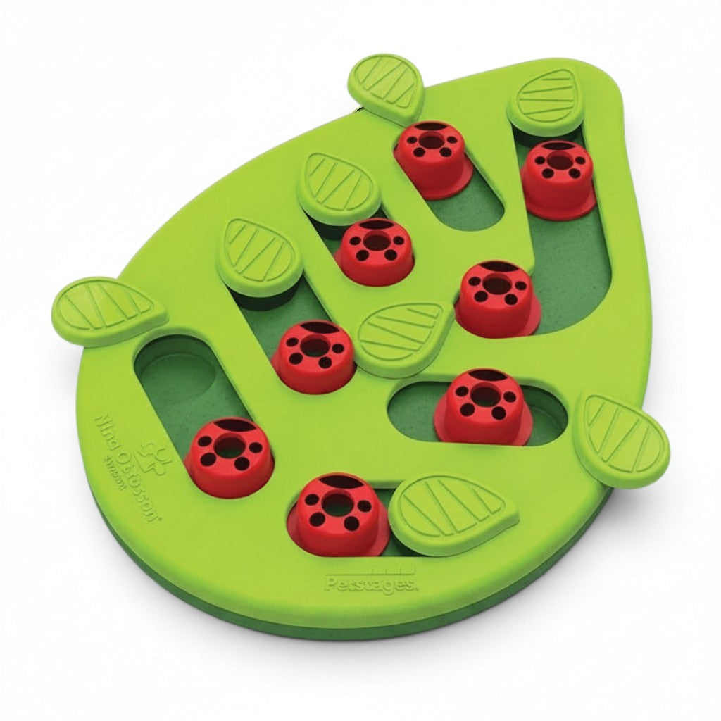Jouet puzzle Esprit Chat en forme de feuille verte avec des compartiments rouges pour stimuler l'instinct du chat.