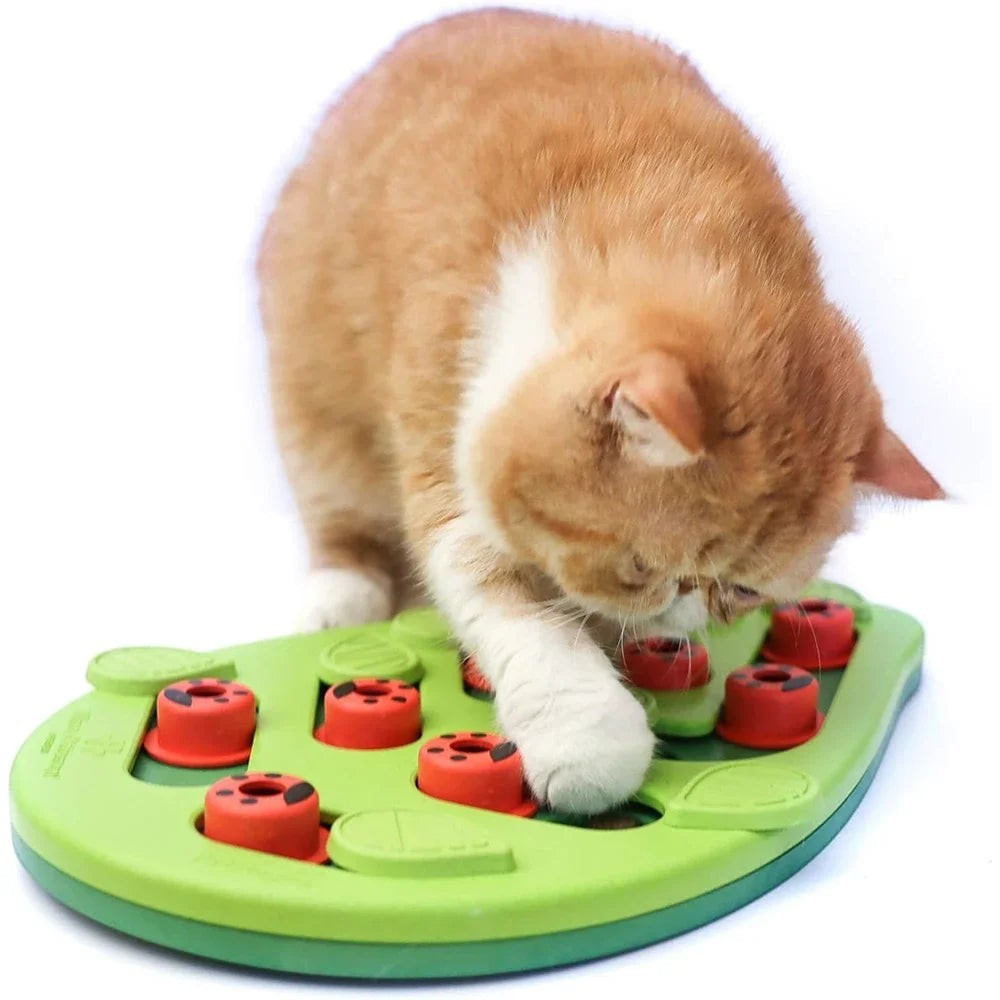 Chat roux jouant avec un puzzle interactif Esprit Chat en plastique vert avec des compartiments rouges pour friandises