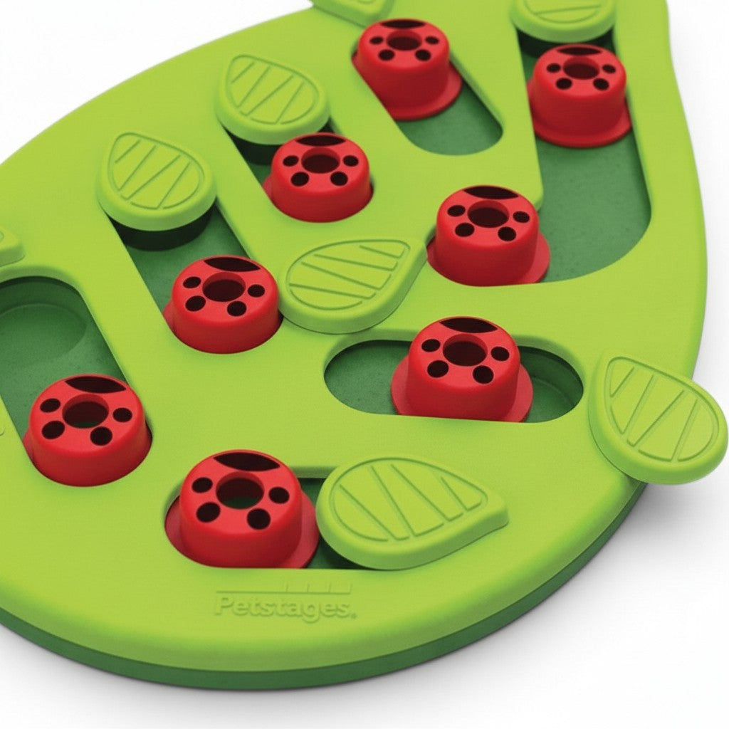 Jouet puzzle Esprit Chat en plastique vert et rouge avec compartiments pour friandises pour stimuler l'instinct