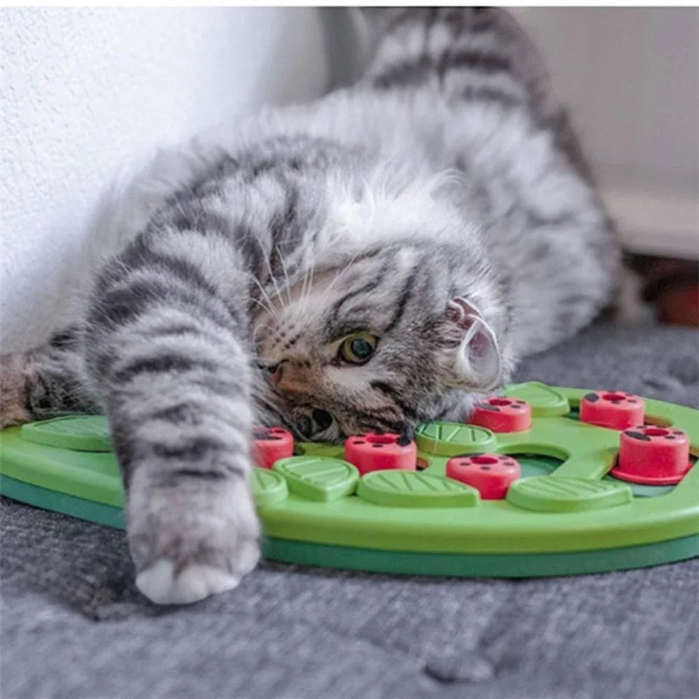 Chat gris tigré jouant avec un puzzle interactif Esprit Chat en plastique vert et rouge pour stimuler son instinct