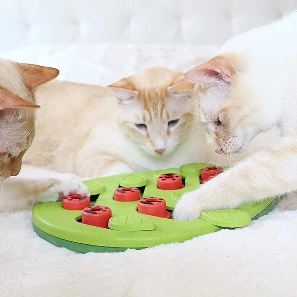 Jouet puzzle interactif Esprit Chat en plastique vert avec des compartiments rouges pour stimuler l'instinct du chat