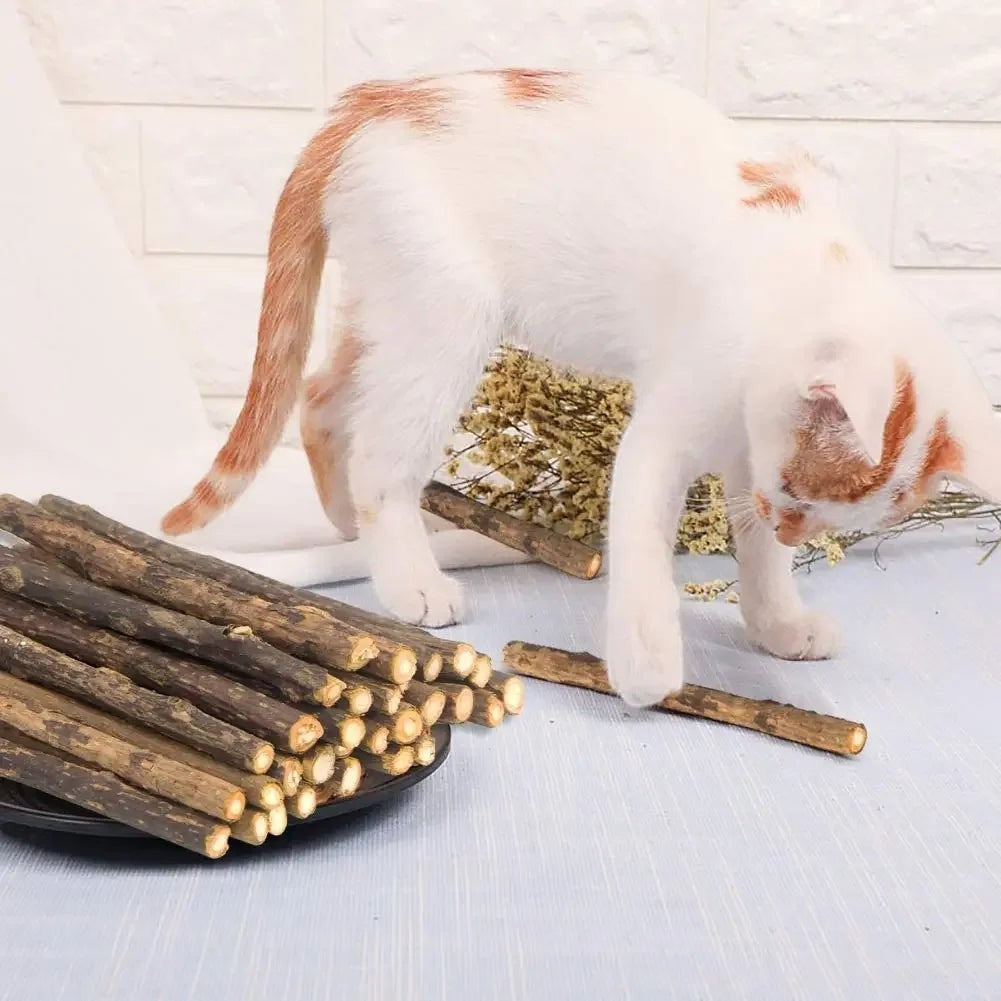 Esprit Chat jouets à mâcher en bois naturel pour chats, bâtons de matatabi pour l'hygiène dentaire et le jeu.