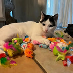 Chat noir et blanc jouant avec un assortiment de jouets en peluche colorés Esprit Chat sur un sol carrelé
