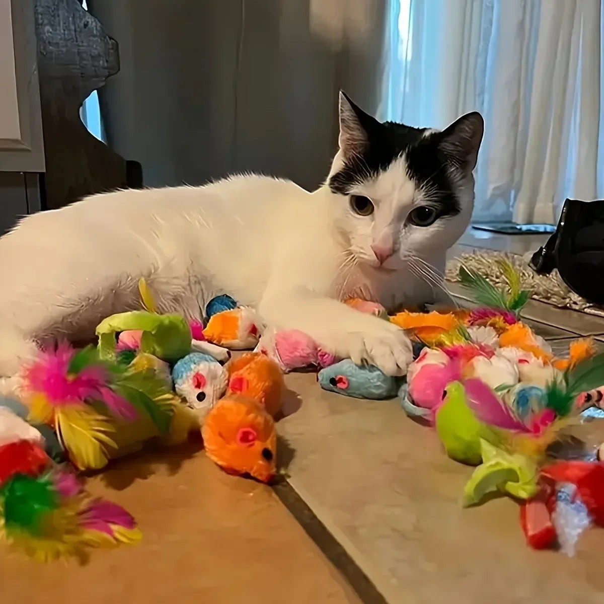 Chat noir et blanc jouant avec un assortiment de jouets en peluche colorés Esprit Chat sur un sol carrelé