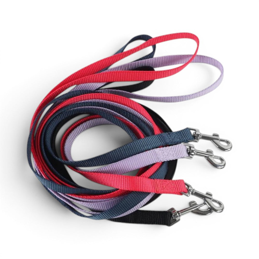 Laisse courte pour chat Esprit Chat en nylon coloré avec mousqueton métallique robuste et attache rapide