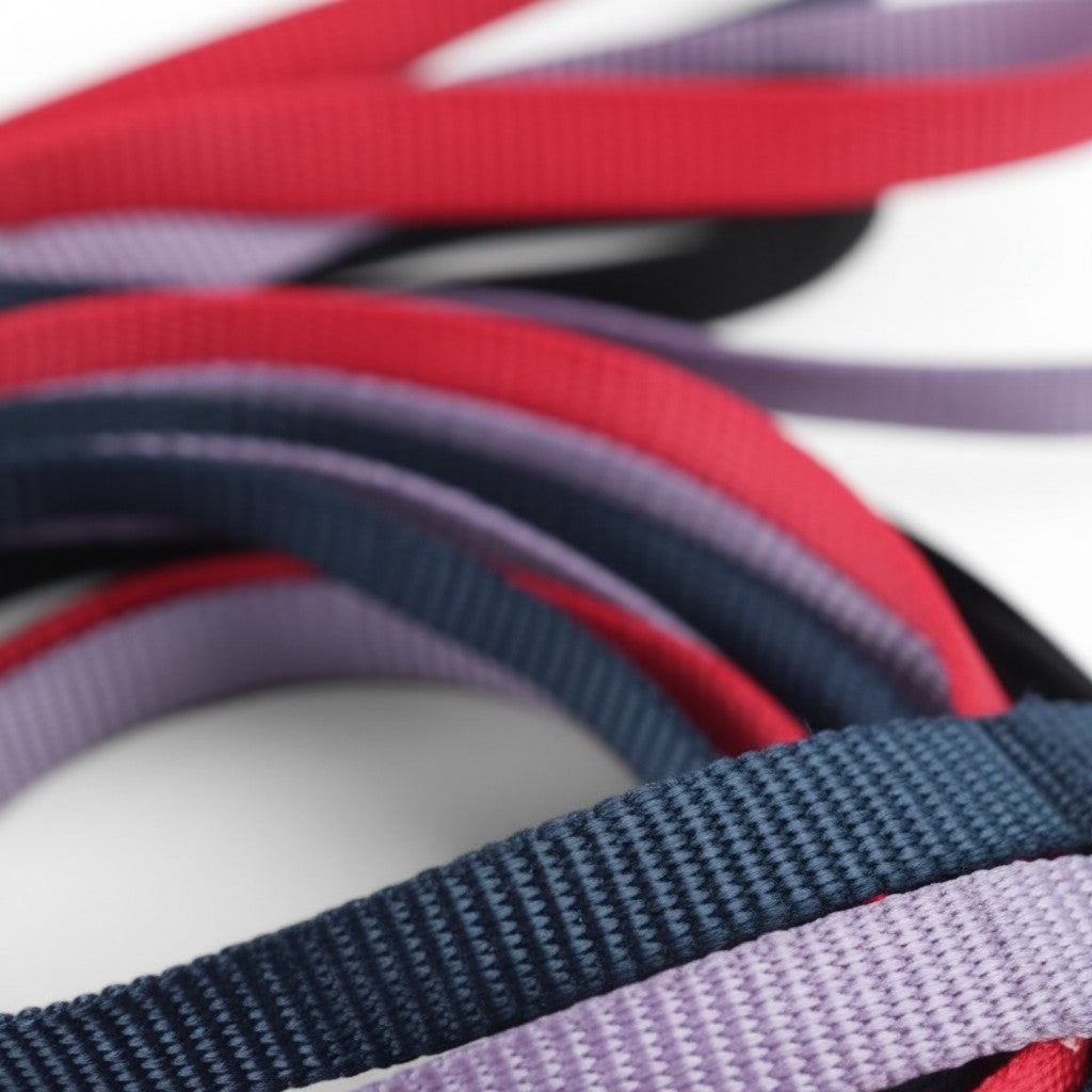 Laisse courte pour chat Esprit Chat en nylon tressé disponible en plusieurs coloris rouge, bleu marine et violet