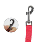 Laisse courte rouge pour chat Esprit Chat avec mousqueton pivotant en métal argenté et attache rapide