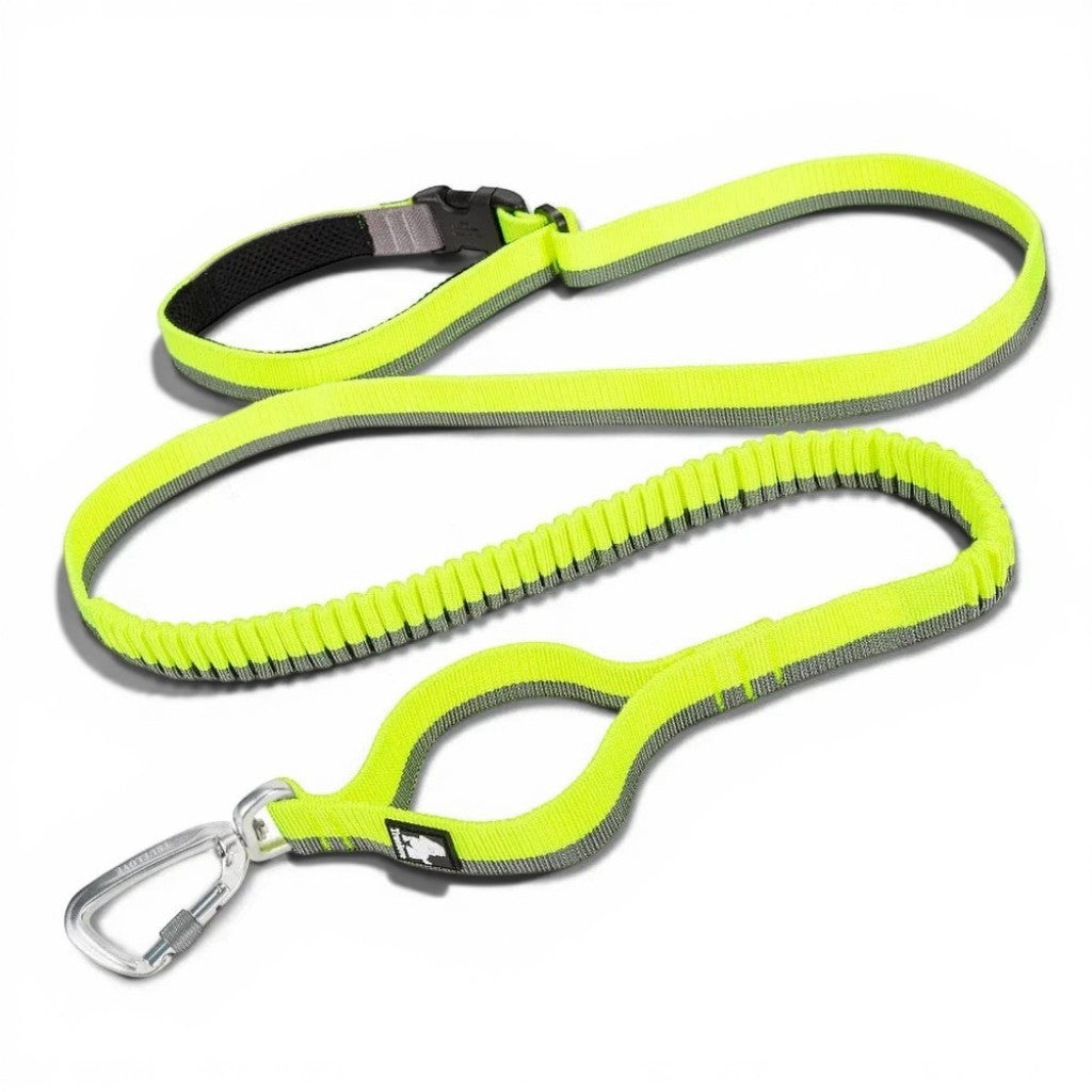 Laisse élastique Esprit Chat jaune fluo avec mousqueton robuste et poignée rembourrée pour promenades confortables