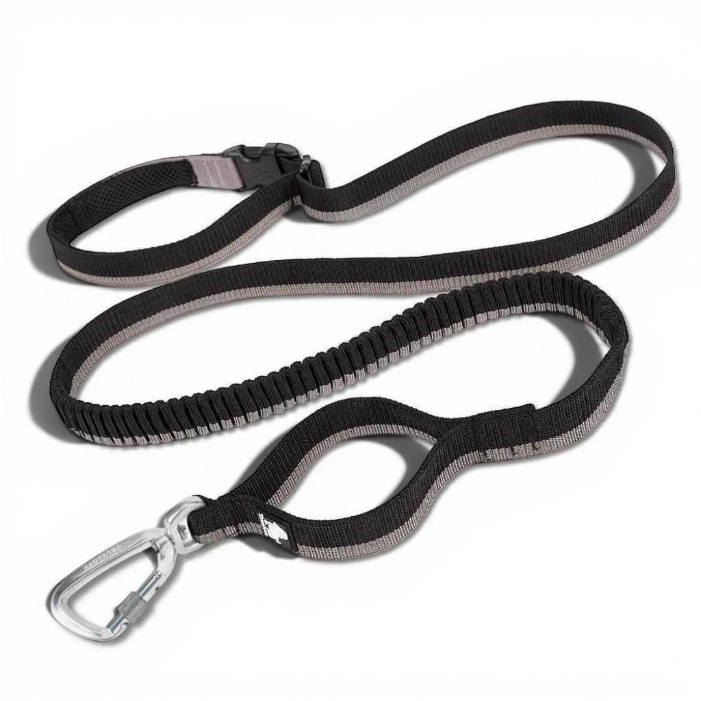 Laisse élastique Esprit Chat pour chat, noire et grise en nylon avec mousqueton robuste et poignée rembourrée
