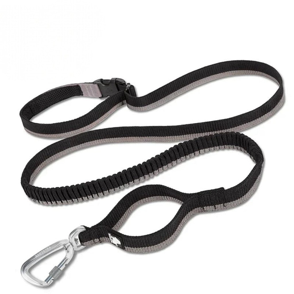 Laisse élastique Esprit Chat noire et grise en nylon avec mousqueton robuste et poignée rembourrée pour animaux