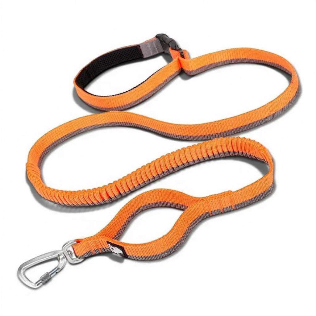 Laisse élastique orange Esprit Chat avec poignée rembourrée et mousqueton robuste pour promenades confortables