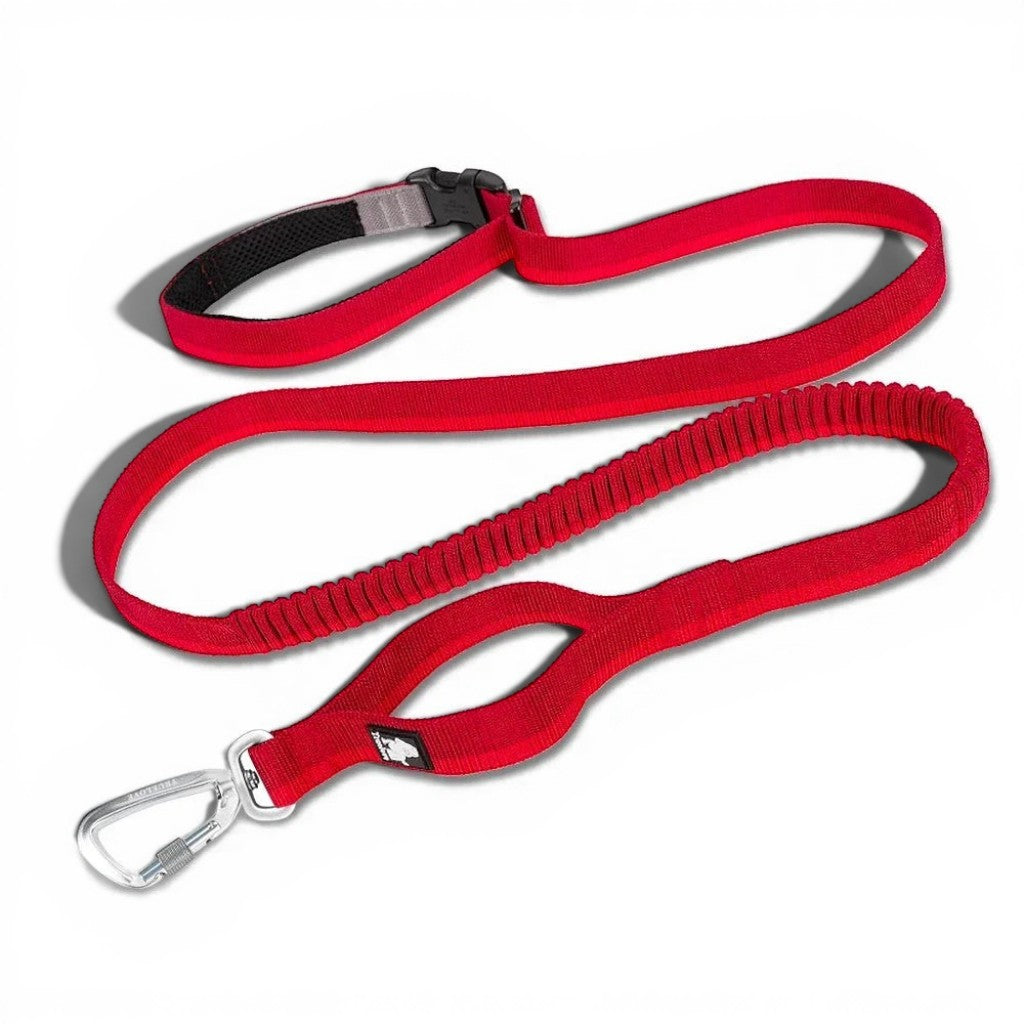 Laisse élastique rouge Esprit Chat pour chat avec poignée de contrôle, mousqueton robuste et rembourrage en maille