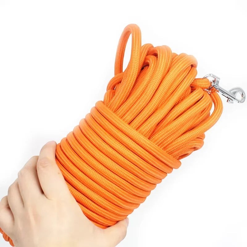 Laisse pour chat Esprit Chat en nylon orange tressé robuste avec mousqueton métallique sécurisé