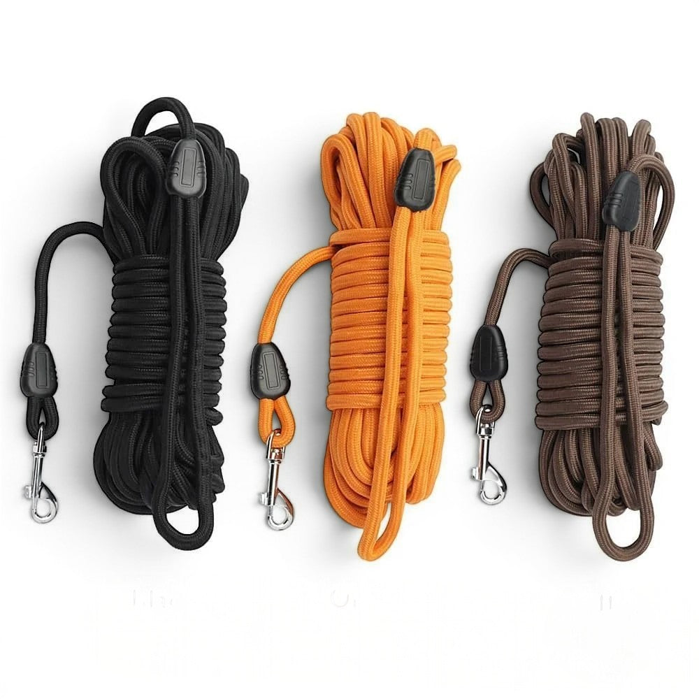 Trois laisses pour chat Esprit Chat en nylon tressé noir, orange et marron avec mousquetons métalliques robustes.