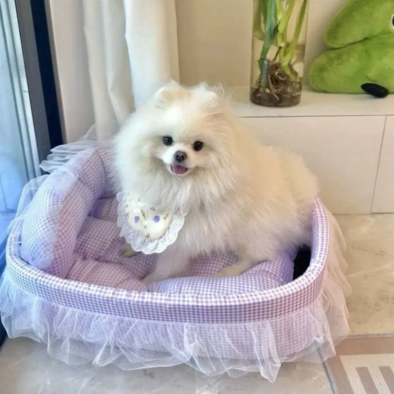 Petit chien blanc assis dans un lit douillet Esprit Chat violet à carreaux avec jupe en tulle et bords surélevés