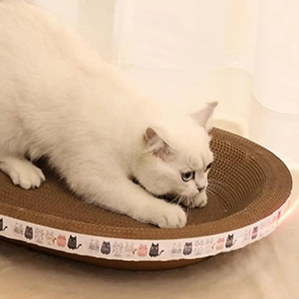 Chat blanc jouant sur un lit griffoir Esprit Chat en carton ondulé kaki avec bordure décorée de motifs de chats