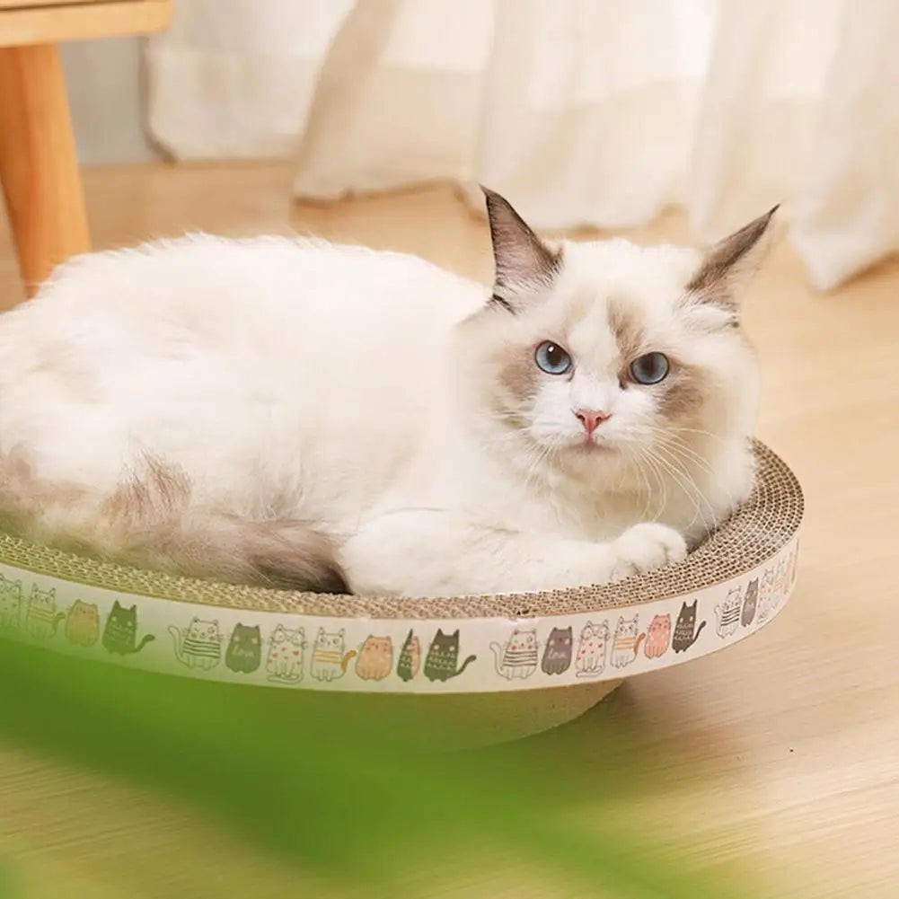Chat Ragdoll blanc allongé sur un lit griffoir rond en carton ondulé Esprit Chat avec motifs de petits chats