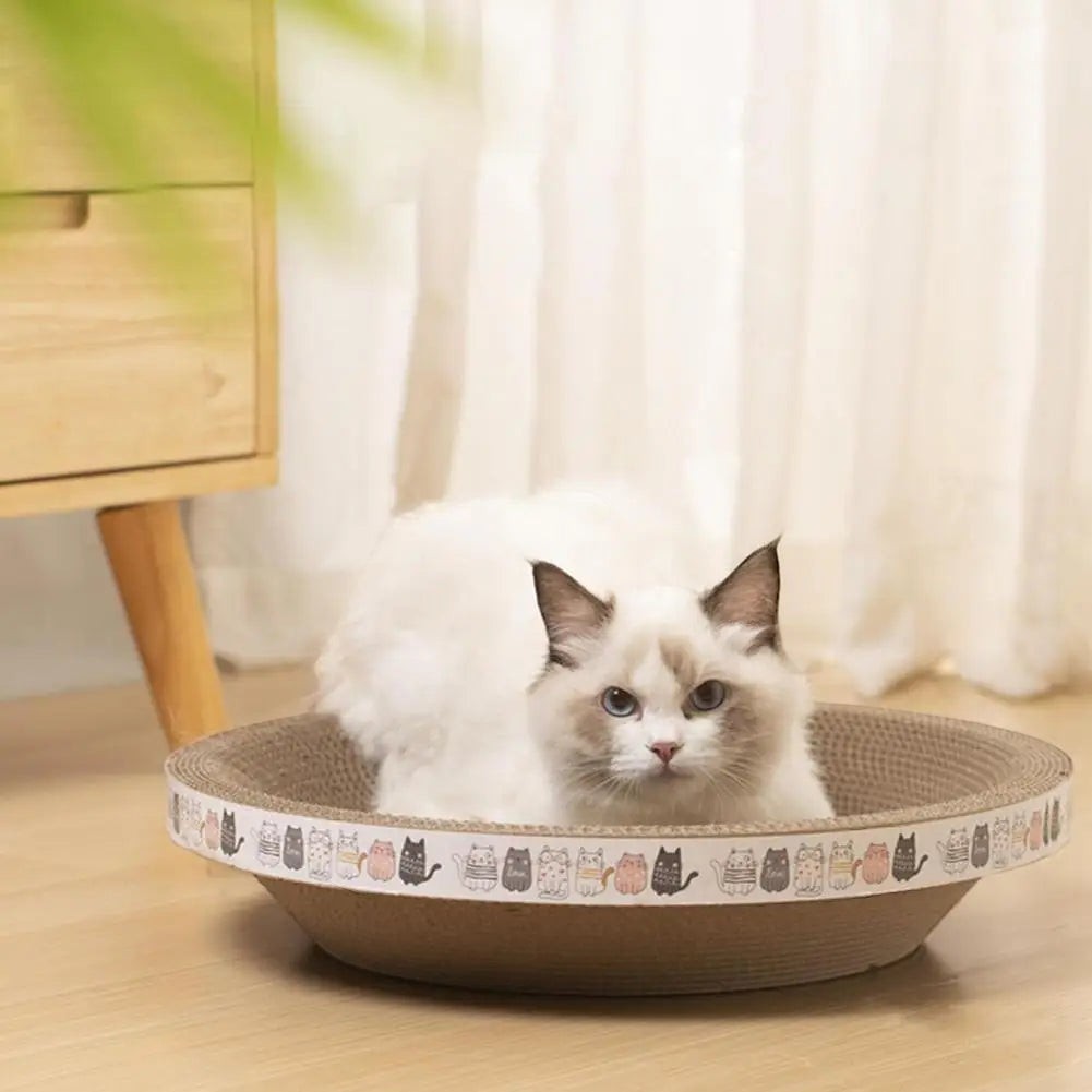 Chat Ragdoll assis dans un lit griffoir Esprit Chat rond en carton ondulé beige avec motif de petits chats