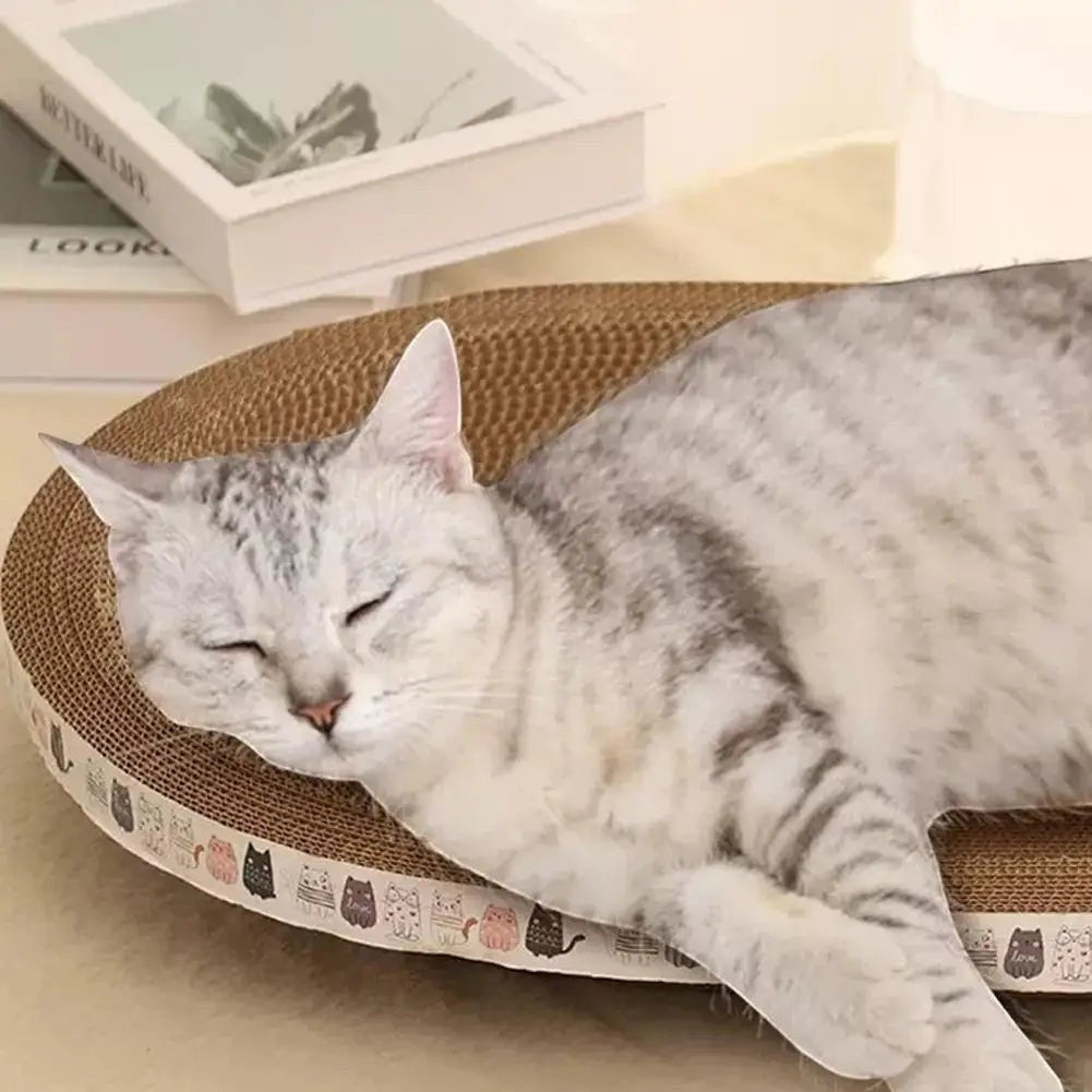 Chat gris dormant sur un lit griffoir en carton ondulé Esprit Chat, accessoire confortable pour griffes et sieste.