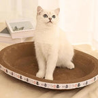 Chat blanc assis dans un lit griffoir ovale en carton ondulé Esprit Chat avec bordure décorée de motifs de chats