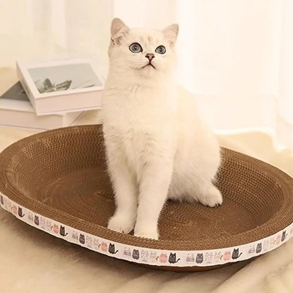 Chat blanc assis dans un lit griffoir ovale en carton ondulé Esprit Chat avec bordure décorée de motifs de chats