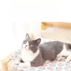 Chat gris et blanc allongé sur un lit en hauteur Esprit Chat avec structure en bois et toile à motifs pêches