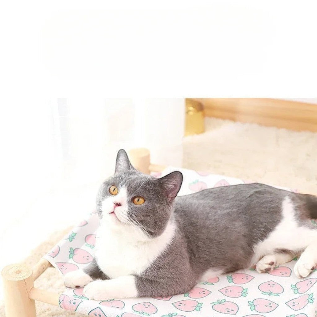 Chat gris et blanc allongé sur un lit en hauteur Esprit Chat avec structure en bois et toile à motifs pêches