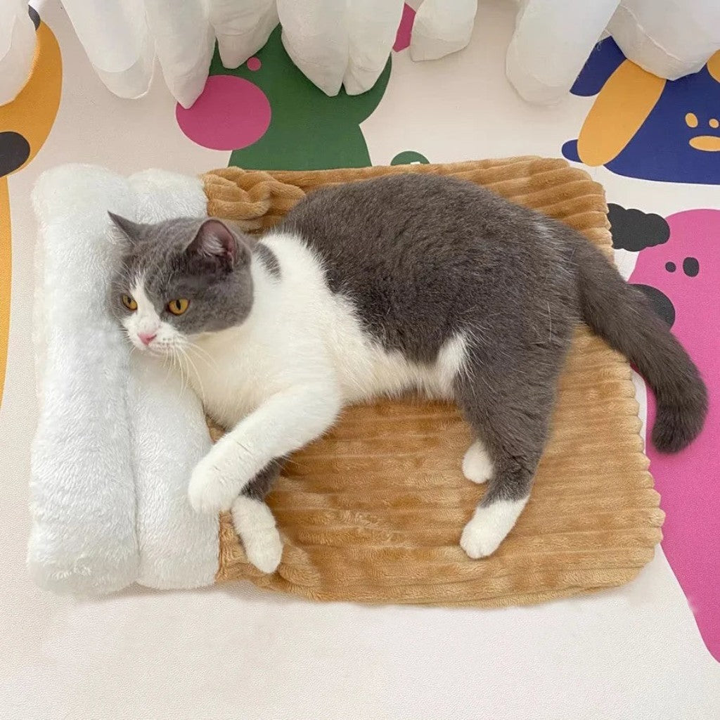 Chat gris et blanc couché sur un lit Esprit Chat en peluche marron et blanc avec oreiller moelleux